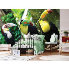 Eine Fototapete mit Tukanen in einem verspielten Kinderzimmer.