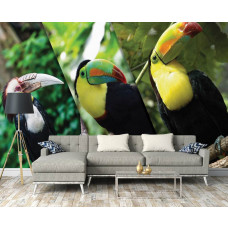 Eine Fototapete mit Tukanen in einem lebhaften Wohnzimmer.
