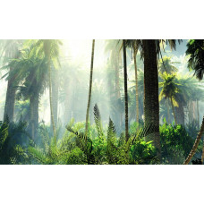 Fototapete mit einem tropischen Wald mit Palmen, umgeben von dichtem Dschungel und lebendiger Natur.
