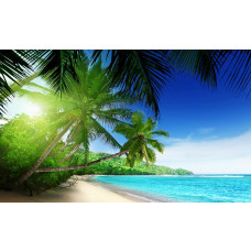 Tropischer Strand mit schwankenden Palmen und einem ruhigen Meer unter einer hellen Sonne, Fototapete, die Entspannung ausstrahlt.