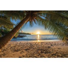 Fototapete von einem tropischen Strand mit einer einsamen Palme, einem warmen Sonnenuntergang und einem klarblauen Meer.