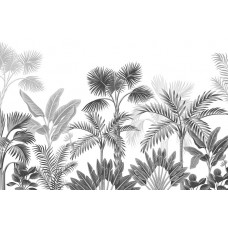 Eine Fototapete von tropischen Pflanzen im Dschungel.