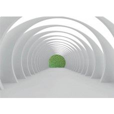 Eine 3D-Fototapete eines Tunnels, der ins Grüne führt, ideal für einen beruhigenden Look in jedem Raum.