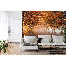 Eine Fototapete mit einem Tunnel aus Herbstbäumen in warmen Tönen, die in einem Wohnzimmer angezeigt wird.