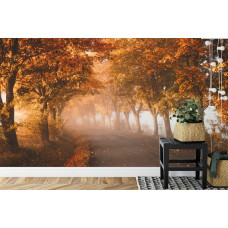 Eine Fototapete mit einem Tunnel aus Herbstbäumen in einem 3D-Effekt, die in einem Schlafzimmer angezeigt wird.