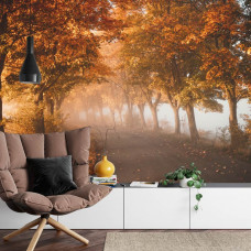 Eine Fototapete mit einer 3D-Wiedergabe eines Tunnels aus Herbstbäumen in einem Wohnzimmer.