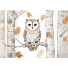 Fotobehang met illustratie van een uil tussen berkenbomen en herfstbladeren.