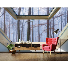 Eine Fototapete mit einer Waldansicht durch ein Oberlicht, ideal für das Wohnzimmer.