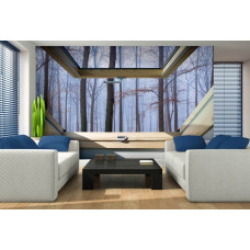 Eine Fototapete, die eine Waldansicht durch ein Oberlicht zeigt, geeignet für das Wohnzimmer.