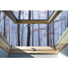 Eine Fototapete mit einer Fensteransicht von Bäumen in einem Wald, natürlich beleuchtete Umgebung.