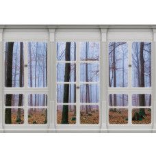 Fototapete mit Herbstwald durch ein Fenster in 3D-Perspektive.