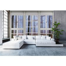 Fototapete mit Blick durch das Fenster auf einen Herbstwald in 3D-Perspektive mit Bäumen im Wohnzimmer.