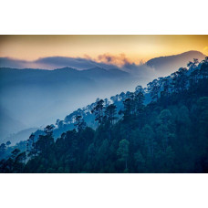 Fototapete mit einem schwungvollen Blick auf eine Bergkette, mit Bergen umgeben von dichten Wäldern.