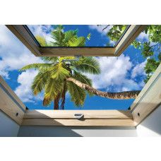 Fototapete mit Blick auf Palmen durch ein Oberlicht, mit subtilen 3D-Effekten.