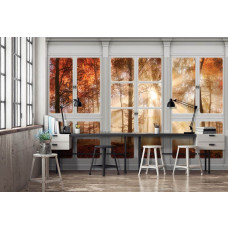 Fototapete mit Herbstwald-Ansicht durch ein Fenster, geeignet für das Büro.