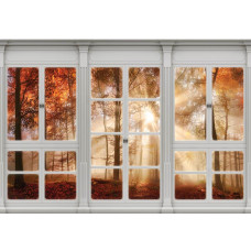Fototapete mit einem Herbstwald, gesehen durch ein Fenster, mit Sonnenstrahlen und 3D-Effekt.