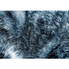 Detailliertes Fell verschiedener Tiere, originalgetreu dargestellt auf dieser weich strukturierten Fototapete.