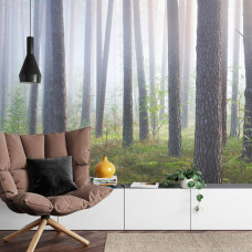 Eine Fototapete mit einem versteckten Wald im Nebel, mit mystischer Natur und Bäumen.