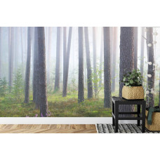 Eine Fototapete mit einer geheimnisvollen Waldlandschaft im Nebel, ideal für ein Wohnzimmer.