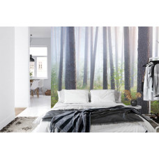 Eine Fototapete mit einem versteckten Wald im weichen Nebel, perfekt für ein Schlafzimmer.