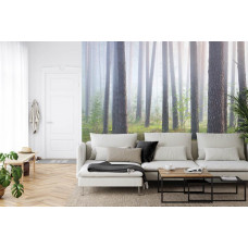 Eine Fototapete mit einem versteckten Wald im Nebel, perfekt für ein Wohnzimmer.