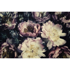 Fototapete mit schönen Vintage-Pfingstrosen und Blumen, elegant angezeigt.