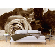 Eine Fototapete mit einer Vintage-Rose in Sepiatönen in einem Schlafzimmer.