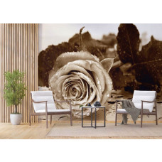 Eine Fototapete mit einer Vintage-Rose in Sepiatönen in einem Wohnzimmer.