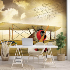 Eine Fototapete mit einem alten Flugzeug für eine Retro-Atmosphäre, ideal für ein Büro.