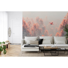 Eine Fototapete mit einem Flugzeug, das über einem nebligen Kiefernwald in einem Wohnzimmer schwebt.