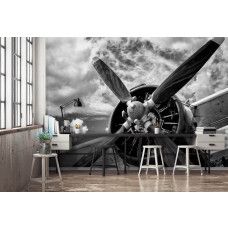 Fototapete eines industriellen Stuntflugzeugs mit Propeller auf dem Display in einem Büro.