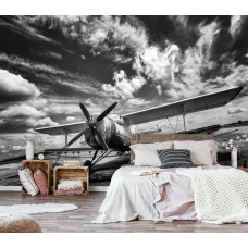 Eine schwarz-weiße Fototapete eines Flugzeugs für das Schlafzimmer.