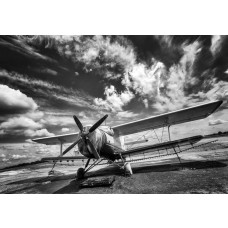 Fototapete eines schwarz-weißen Flugzeugs, minimalistisches Design.