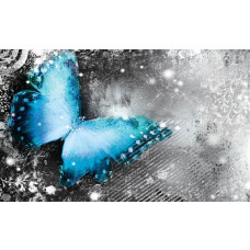 Fototapete von einem Schmetterling, mit magischen und künstlerischen Elementen im Malstil.