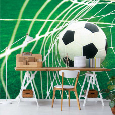 Eine Fototapete mit einem Fußballtor auf einem Fußballfeld, die eine dynamische und sportliche Atmosphäre hervorruft. Dieses Design bringt eine spielerische und motivierende Atmosphäre in das Büro.