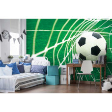 Eine Fototapete mit einem Fußballtor auf einem Fußballfeld, die eine dynamische und sportliche Atmosphäre hervorruft. Perfekt für ein Kinderzimmer, um eine energiegeladene und sportliche Umgebung zu schaffen.
