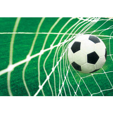 Fußballtor-Fototapete mit einem dynamischen Bild eines Netzes, das den Ball auffängt, ideal für Sportliebhaber.