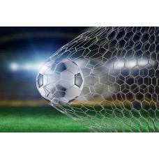 Fototapete mit einem Fußball, der ein Tor mit Kraft schießt, aufgenommen in einem glorreichen Moment auf dem Spielfeld.