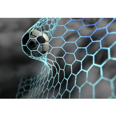 eine Fototapete eines Fußballs, der im Netz gefangen ist, gerade im Moment des Tores, mit dem Tor deutlich im Blick.