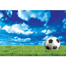 Fototapete eines Fußballfeldes in einem Stadion mit grünem Rasen für Kinder.