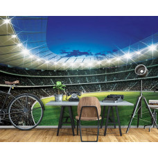Fototapete mit einem Sportstadionthema eines Fußballfeldes für das Büro.