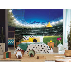 Fototapete eines Stadions mit Jungen auf einem Fußballfeld, perfekt für ein Kinderzimmer.