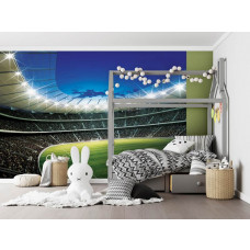 Fototapete eines Fußballfeldes in einem Stadion, geeignet für ein Jugendzimmer.