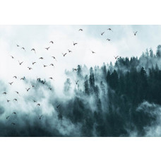Fototapete von Vögeln im Nebel mit einem Wald und Bäumen im Hintergrund.