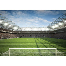 Fototapete eines vollen Stadions während eines Fußballspiels, Kinder sind konzentriert.