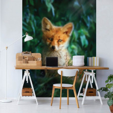 Eine Fototapete mit einem Fuchs in der Natur, geeignet für ein Büro.