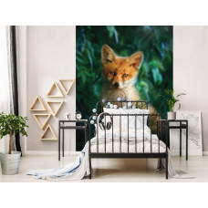 Eine Fototapete mit einem Fuchs in einem abenteuerlichen Kinderzimmer.