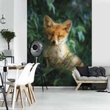Eine Fototapete mit einem Fuchs in einem gemütlichen Wohnzimmer.