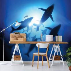 Eine Fototapete mit Walen im Meer für das Büro.