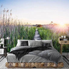 Fototapete mit einem Wanderweg im Abendsonnenlicht, einem Holzpfad zwischen hohem Gras und einem Sonnenuntergang